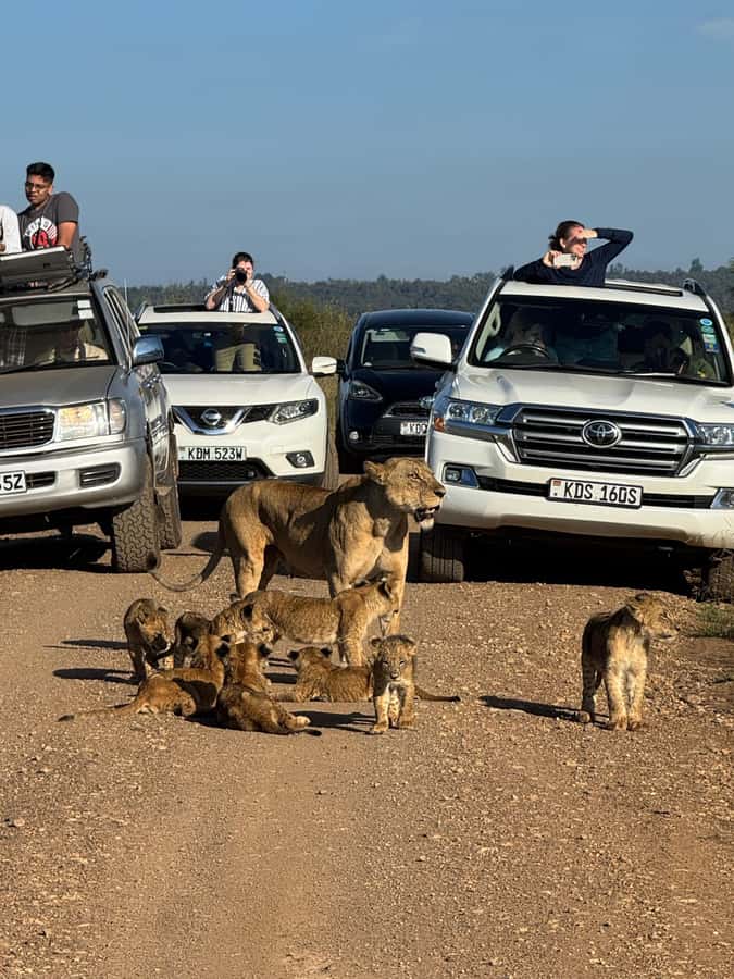 5-Hour Nairobi National Park 4x4 Safari with Free Pickup - Nairobi National Park with the city close behind