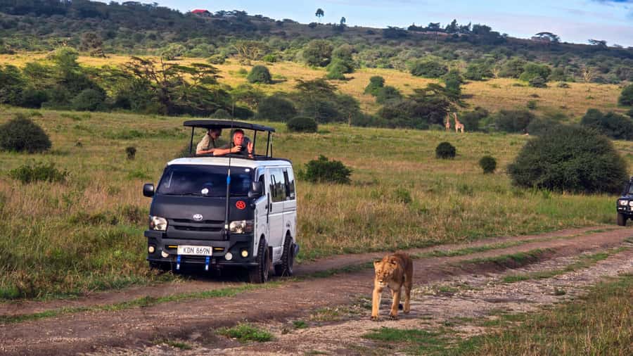 5-Hour Nairobi National Park 4x4 Safari with Free Pickup - Free pickup makes a short safari easier