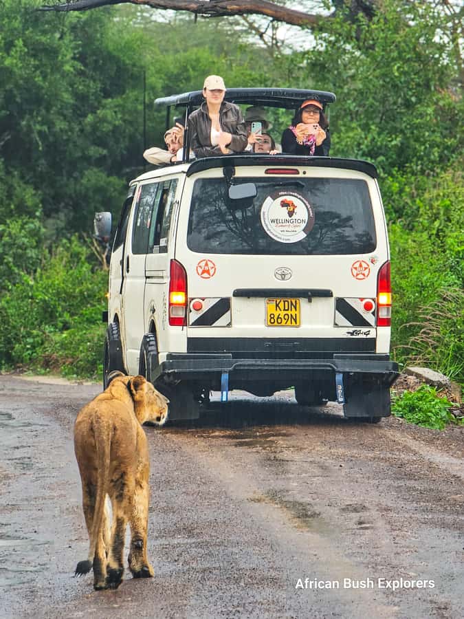 5-Hour Nairobi National Park 4x4 Safari with Free Pickup - How much value do you get for $80?