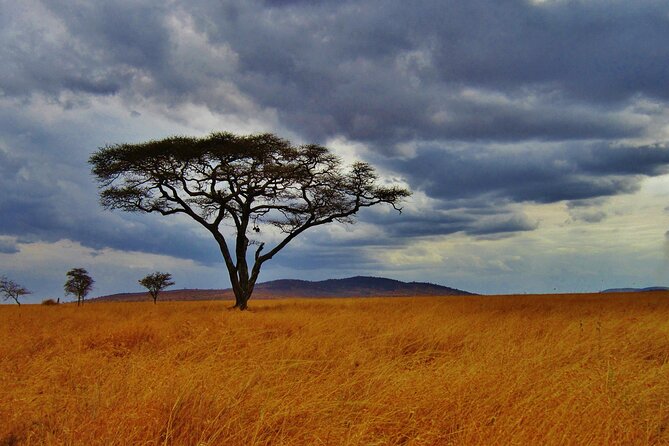 5days Tour Tsavo East & west, Amboseli from Mombasa / Nairobi - Day 1: Tsavo East and the road to Voi Safari Lodge