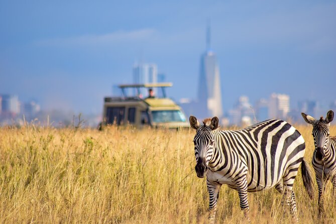 5Hrs Nairobi National Park MorningEvening gamedrive 4x4 vehicle - The Ivory Burning Site adds a serious conservation lesson