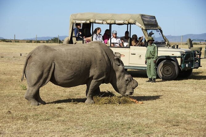 6-Day 5 Nights Masai Mara, Lake Nakuru & Amboseli Budget Safari - Why this route works for a first Kenya safari