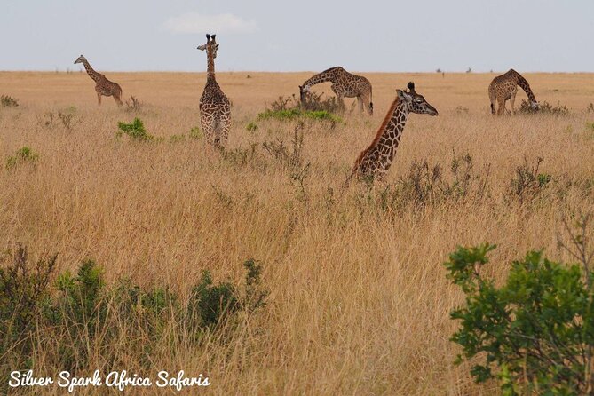 6-Day Maasai Mara Reserve, Lake Naivasha, Amboseli National Park - Day 3: Lake Naivasha, Hell’s Gate, and an optional boat trip