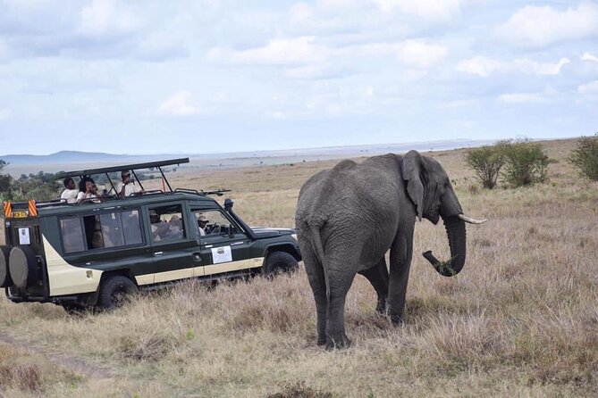 6 Day Nairobi-Amboseli-Maasai Mara Private Semi Luxury Tour - Day 6: a final drive and the Great Rift Valley