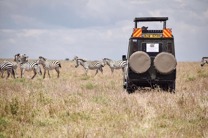 6 Day Nairobi-Amboseli-Maasai Mara Private Semi Luxury Tour - Why the private Land Cruiser matters