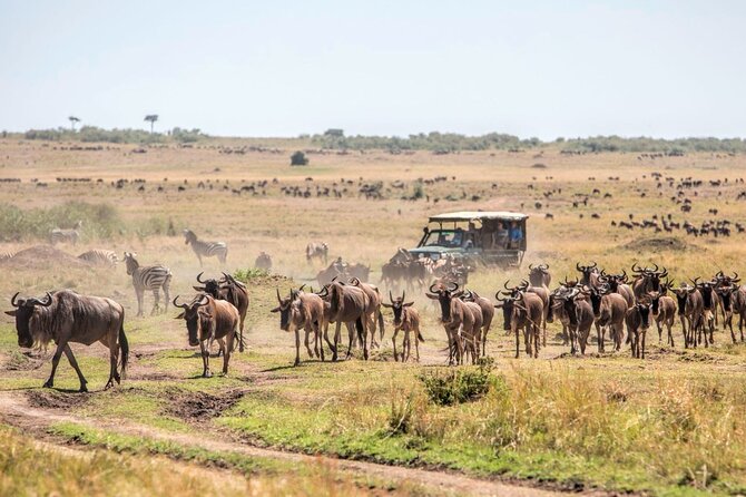 6-Day Private Landcruiser Safari to Masai Mara, Nakuru & Amboseli - Day 1: Nairobi to Masai Mara by way of the Rift Valley
