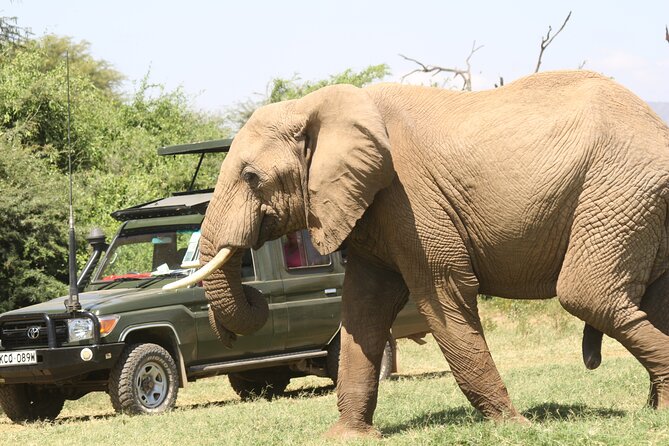 6-Day Samburu, Lake Nakuru, and Masai Mara Safari - Day 1: From Nairobi to Samburu
