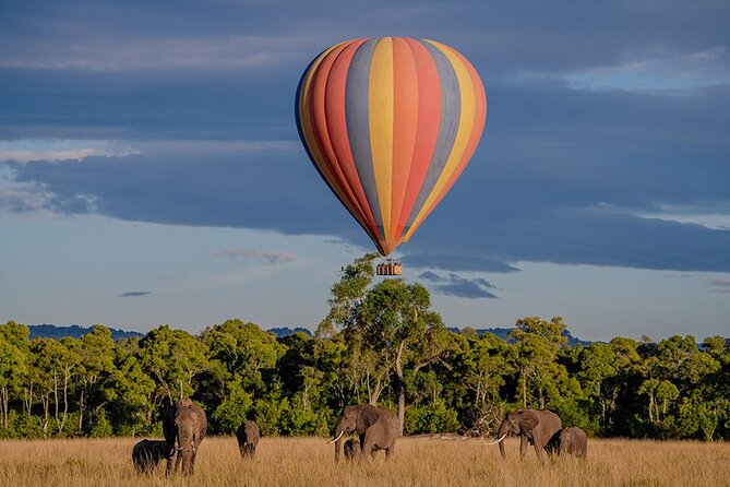 6-Day Samburu, Lake Nakuru, and Masai Mara Safari - Day 6: Leaving the Mara for Nairobi