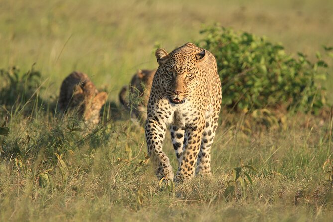 6-Day Samburu, Lake Nakuru, and Masai Mara Safari - What the $2,878.58 price covers