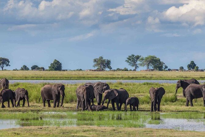 6 Days Group Multi Day Tour Masai Mara Lake Nakuru and Amboseli - Day 1: Nairobi to Masai Mara through the Great Rift Valley