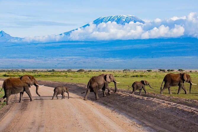 6 Days Group Multi Day Tour Masai Mara Lake Nakuru and Amboseli - Day 4: Lake Nakuru rhinos, then a long run to Amboseli