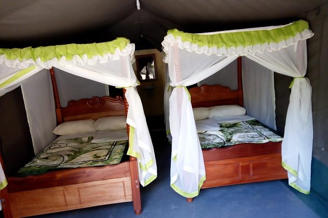 6 Days in Masai Mara- Lake Nakuru- Amboseli - Day 5: Elephants, swamps, and Kilimanjaro views
