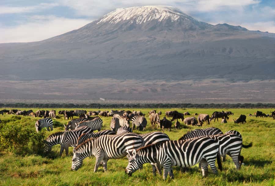 6 Days Kenya Budget Safari - Meals, water, and camp comfort