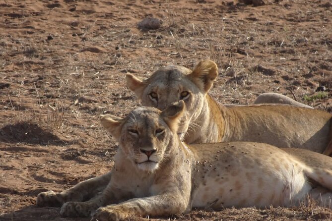 6 Days Kenya Masai Mara,Lake Nakuru & Amboseli Wildlife Safari - What the $2,000 price really covers