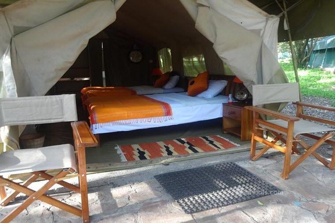 6 Days Maasai Mara/Nakuru/Amboseli Group Safari - Day 2: A full Maasai Mara wildlife day