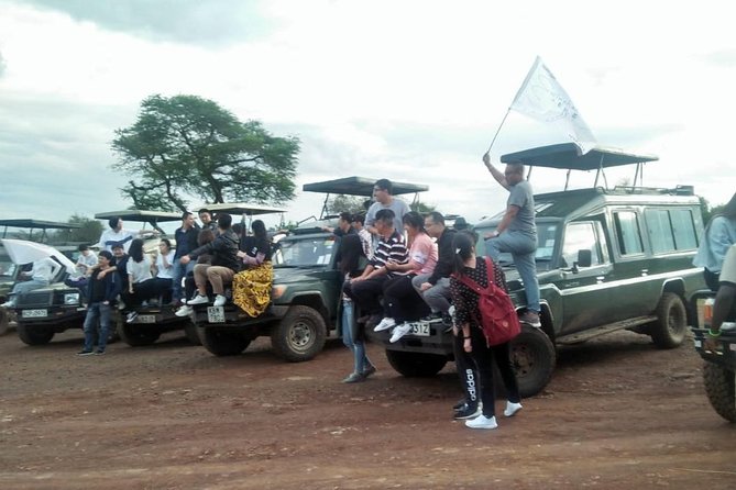 6 Days Maasai Mara/Nakuru/Amboseli Group Safari - How the price compares with the pace