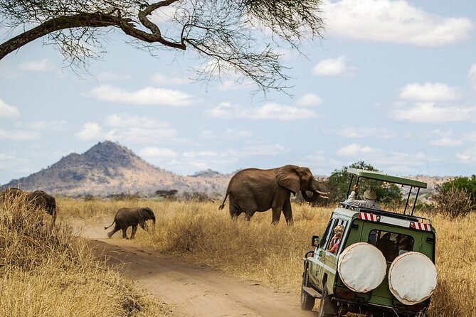6 Days Masai Mara, Lake Nakuru and Amboseli Budget Group Safari - Day 5: Elephants and Kilimanjaro in Amboseli