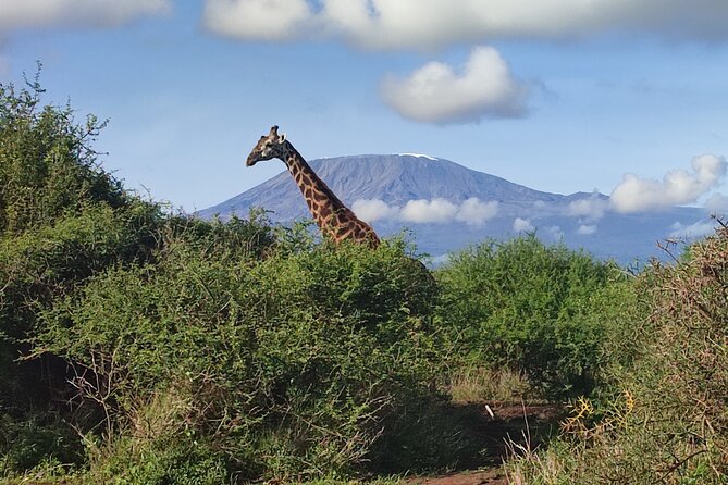 6-Days of Elephants, Wildebeest and Big 5: Kenya’s Classic Safari - Why this route works in six days