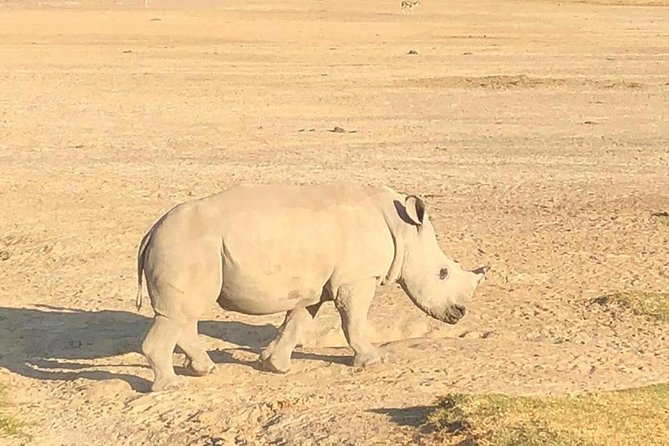 6 Days of Kenyan Wonders: Amboseli, Lake Nakuru, and Masai Mara - Day 3: The long transfer to Lake Nakuru