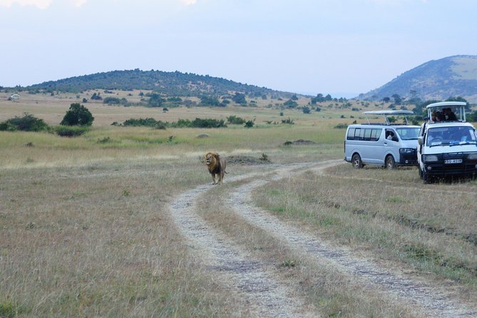 6 Days private safari package Kenya - A six-day Kenya safari that begins with Amboseli
