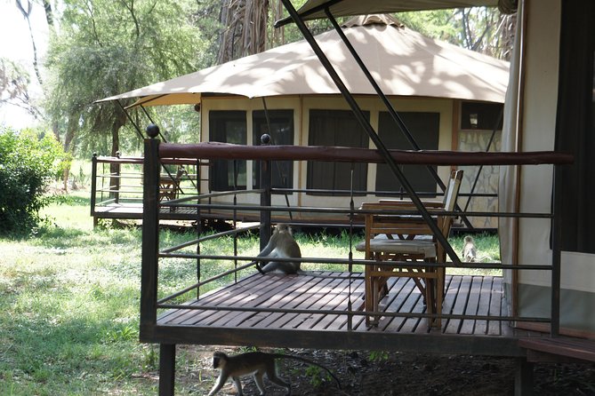 6 Days private safari package Kenya - The private-tour question matters