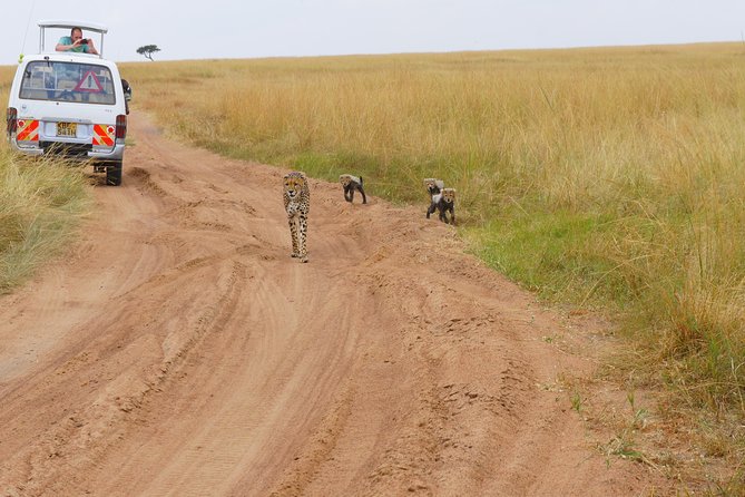6 Days private safari package Kenya - Extras that can change the feel of the trip