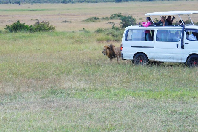 6 Days private safari package Kenya - What the first morning from Nairobi feels like