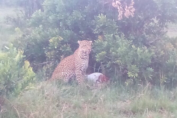 6 Days Safari to Samburu N/R, Aberdare N/P, Nakuru N/P and Maasai Mara N/R. - Why Samburu makes the journey worthwhile