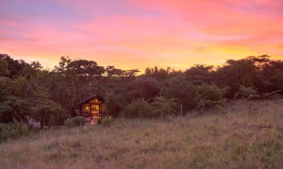 6 Days Small Group Safari To Masai Mara, Nakuru And Amboseli - Three parks, three different safari moods