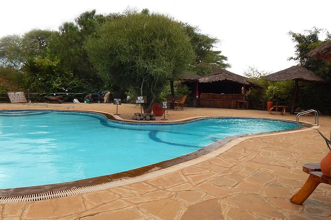 6Days Amboseli, Lake Nakuru and Masai Mara Camping Safari on Jeep - Day 2: A full day with Amboseli’s elephants