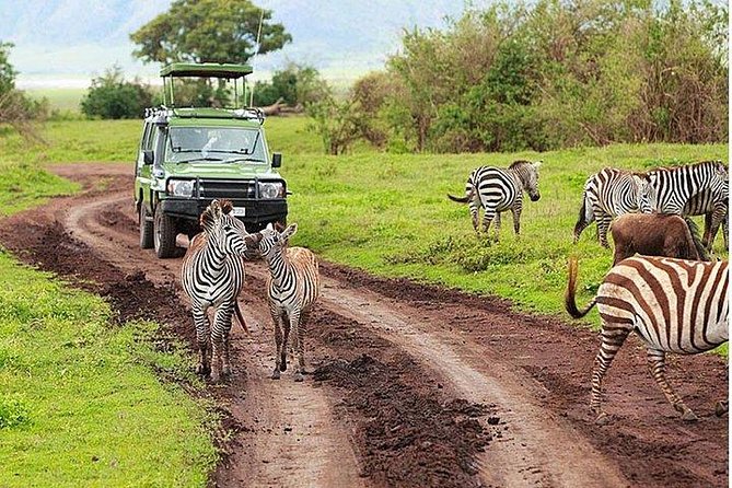 6Days Amboseli, Lake Nakuru and Masai Mara Camping Safari on Jeep - Day 4: From Lake Nakuru to the Masai Mara