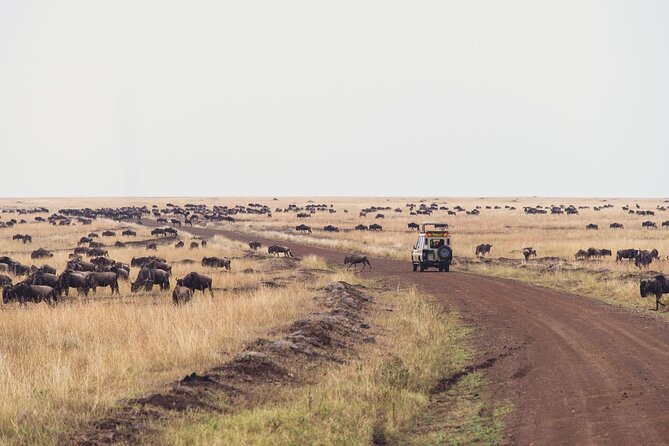 7 Day Private Jeep Safari, 5 star lodges with Balloon Ride Kenya - Day five, the long run to Amboseli