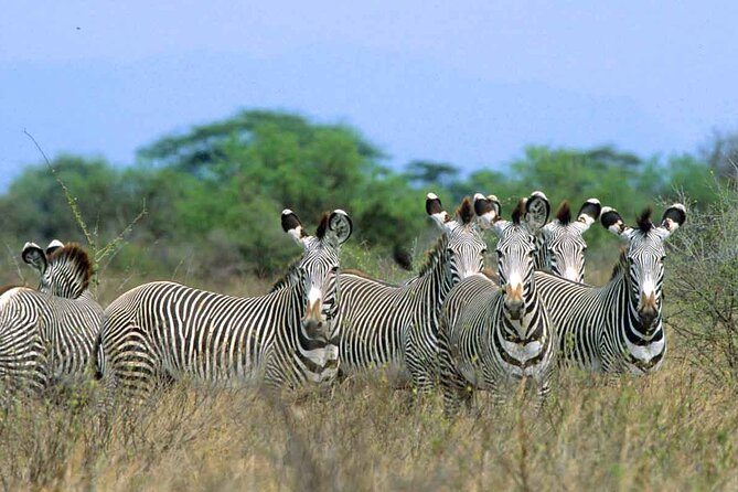 7-Day Private Tour in Kenya National Parks From Nairobi / Mombasa - Day 4: Hell’s Gate by bike and an optional Lake Naivasha boat ride