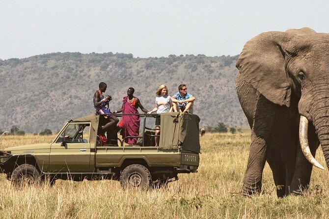 7-Day Private Tour in Kenya National Parks From Nairobi / Mombasa - Day 5: The long move to Amboseli