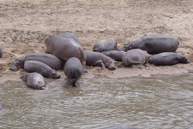 7-Day Safari to Maasai Mara, Lake Naivasha and Amboseli from Nairobi - The road to Amboseli and Mount Kilimanjaro