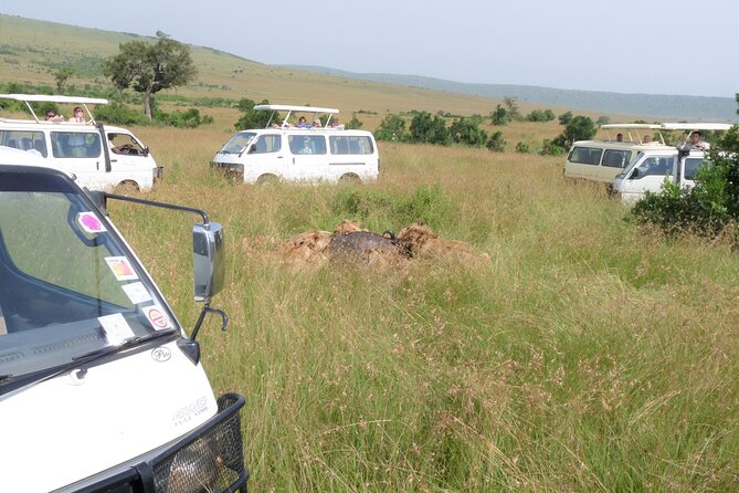 7 Days Amboseli-Lake Naivasha-Lake Nakuru & Masai Mara - Day one: Elephants beneath Kilimanjaro in Amboseli