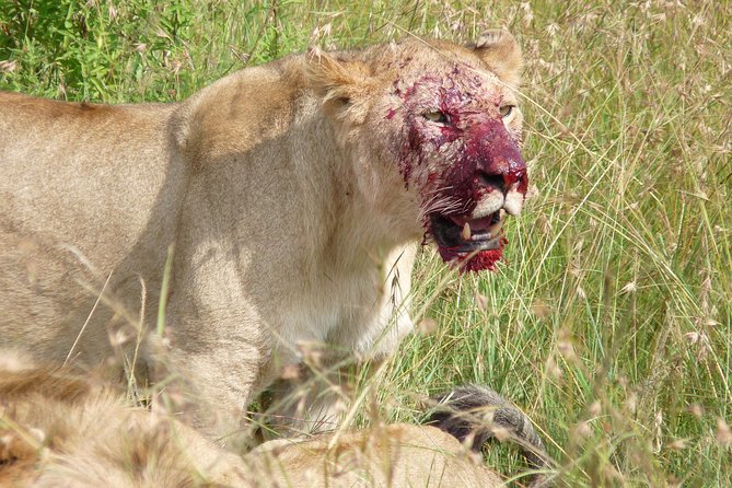 7 Days Amboseli-Lake Naivasha-Lake Nakuru & Masai Mara - Day seven: A cultural stop before Nairobi