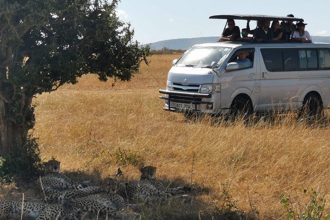 7 Days Amboseli, Naivasha, Maasai Mara and Lake Nakuru game parks - Day Four: Lake Nakuru, Rhinos, and Makalia Waterfalls