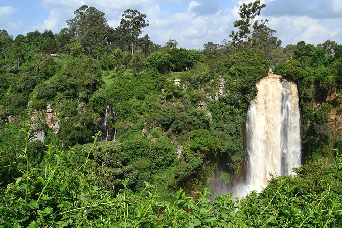 7 Days Breathtaking Kenya Wildlife Private Safari - Day 4: A waterfall stop and Lake Nakuru wildlife