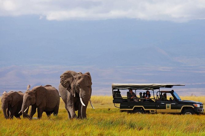 7 Days Breathtaking Kenya Wildlife Private Safari - Day 2: Kilimanjaro, elephants, and a Maasai village option