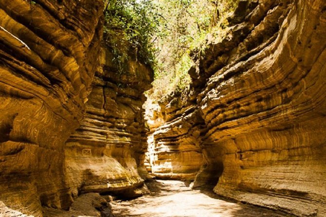 7 days Group Safari Masai Mara Lake Nakuru Hells gate & Amboseli - Two full Mara days, with the Mara River in focus
