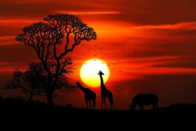 7 Days Kenya Luxury Safaris - Masai Mara NR, Amboseli NP and Lake Nakuru NP - Day 4: Lake Nakuru and the Rift Valley