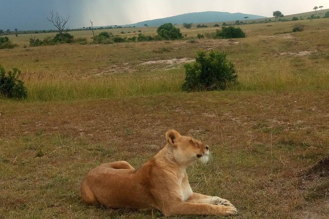 7 Days maasai mara - lake nakuru - lake naivasha- amboseli safari. - Day 5: Hell’s Gate before the drive to Amboseli