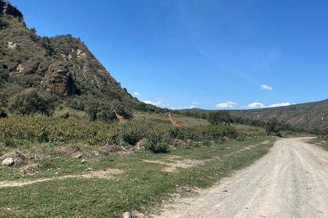 7 Days Private 4 star lodges Safari by LandCruiser from Nairobi - Day 4: Cycling at Hell’s Gate and hippos on Naivasha