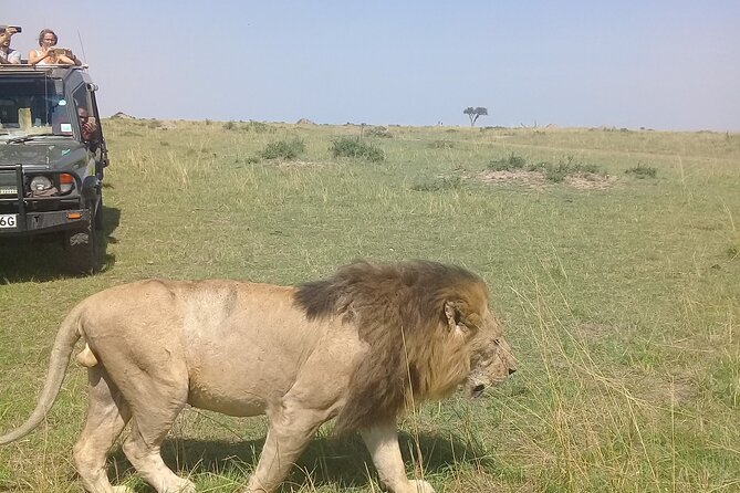 7 Days Private safari to 4 Star lodges using a Jeep - Key points to know before booking