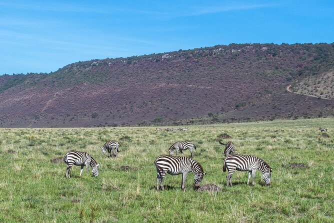 7 Days Safari to Maasai Mara, Nakuru, Naivasha and Amboseli - Day 4: Rhinos, Hell’s Gate, and Lake Naivasha