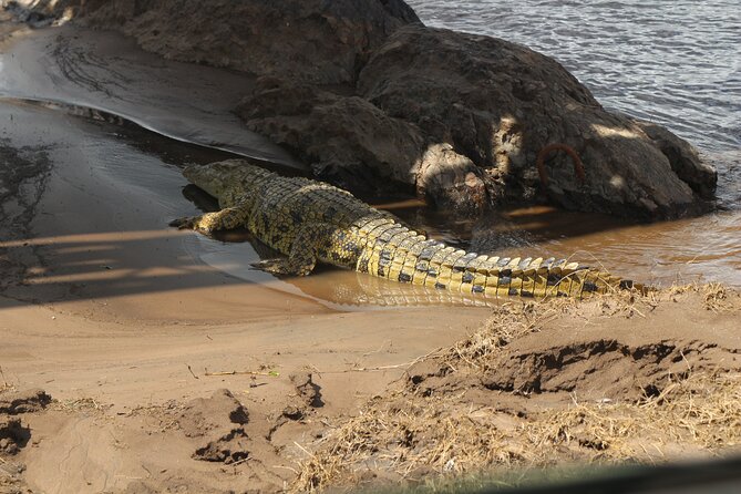 8-Day Amazing Kenya Holiday Safari - The private vehicle and guide make a difference