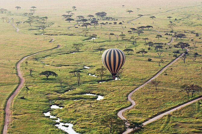 8-Day Kenya Group Joining Safari - Day 4: From the Mara toward Lake Nakuru