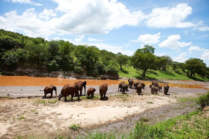 8 Day Safari: Best of Kenya & Tanzania - Key points to know before booking