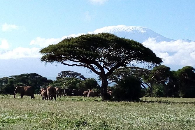 8 Day Safari: Best of Kenya & Tanzania - Day 4: Crossing into Tanzania at Isebania